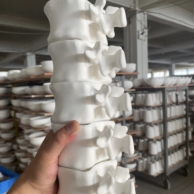 Spine Medical Student Coffee Cup - Image 5