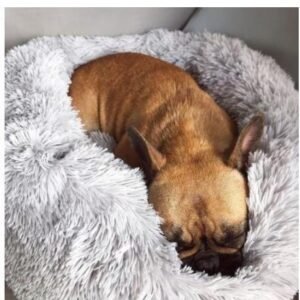 Detachable and washable pet warming pad