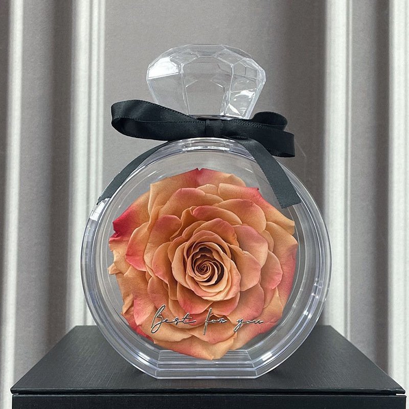 Eternal Flower Ornaments Transparent Cover Dried Rose Gift Box For Christmas New Year Valentine's Day Home Decor - Image 3