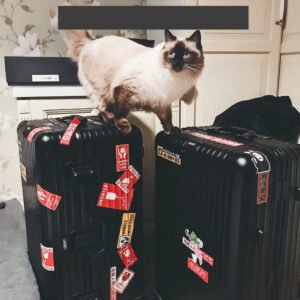 55 French Suitcase Notebook Stickers