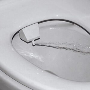 Toilet bidet flush butt